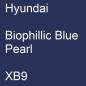 Preview: Hyundai, Biophillic Blue Pearl, XB9.